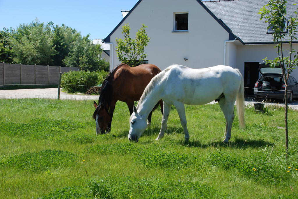 Roulotte Gites O Bien-Etre Massage Spa Sejour Bien-Etre En Hebergement Insolite Roulotte Karantez Ou En Gites Melon Ou Yock A 800 M Des Plages Maison D'Hote Drogou Porspoder Pokój zdjęcie
