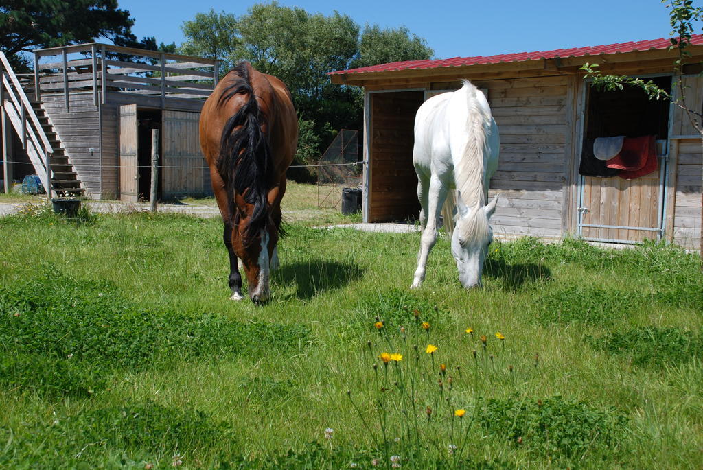 Roulotte Gites O Bien-Etre Massage Spa Sejour Bien-Etre En Hebergement Insolite Roulotte Karantez Ou En Gites Melon Ou Yock A 800 M Des Plages Maison D'Hote Drogou Porspoder Pokój zdjęcie